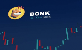错过了BONK拉力赛为不断扩大的 P2 领域提供了新的机会